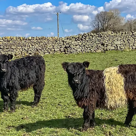 Holiday home Aysgill *